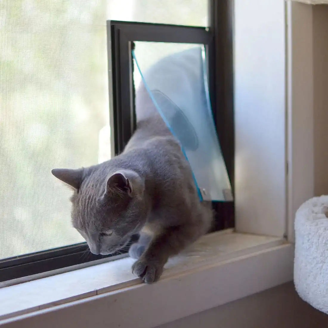 Hale Pet Door Replacement Flaps - Image 10
