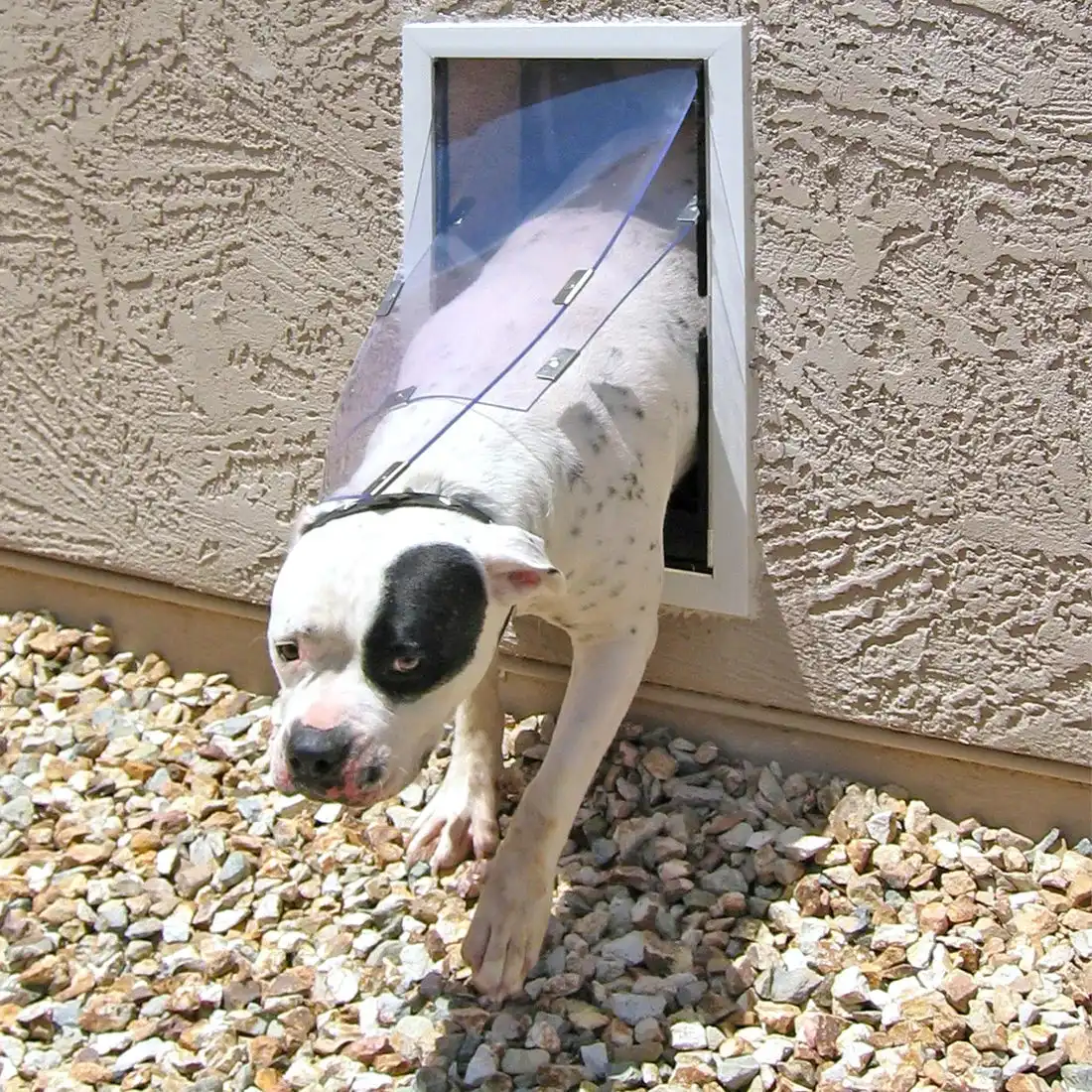 Hale Pet Door Replacement Flaps - Image 11